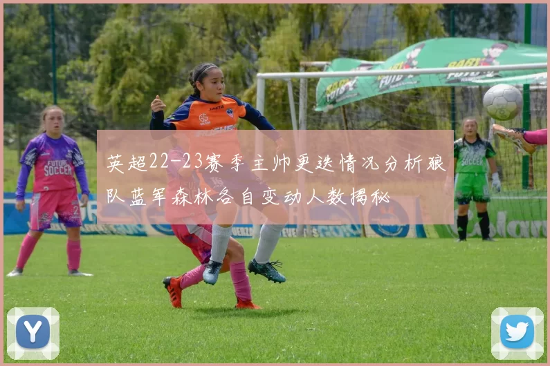 英超22-23赛季主帅更迭情况分析狼队蓝军森林各自变动人数揭秘